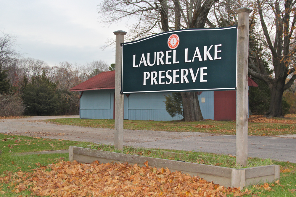The entrance to the Main Road preserve. (Credit: Carrie Miller)
