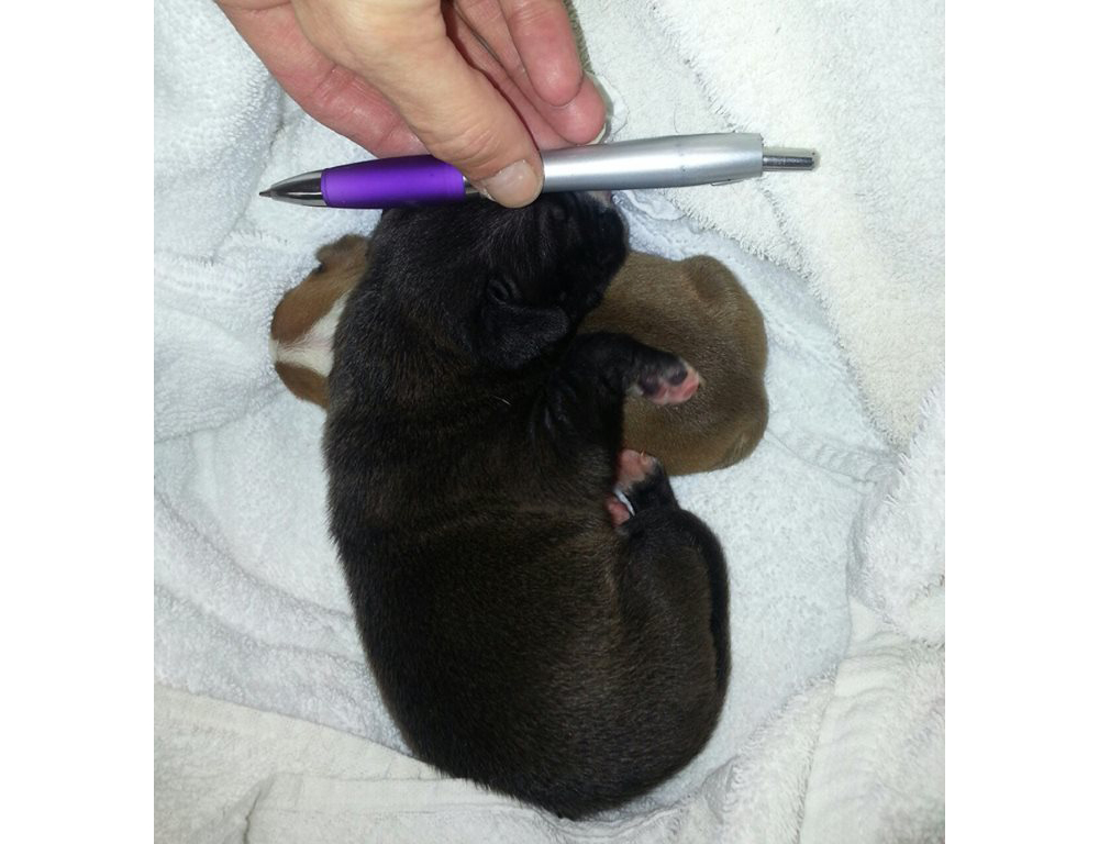 When they first arrived at the Southold Shelter. 