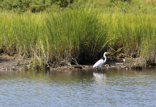 That deal would requires approval from both county legislators and county taxpayers in November. (Credit: Carrie Miller, file)