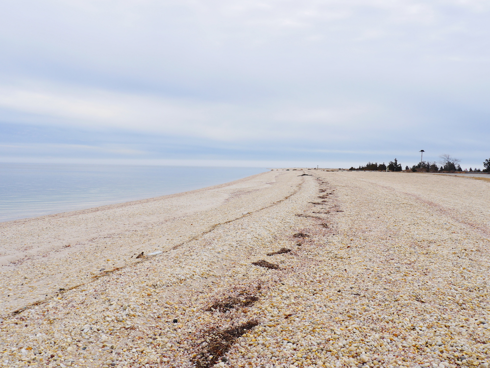 Cedar Beach Krysten Massa Photo